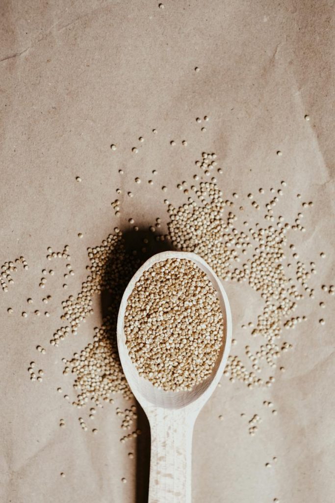 Quinoa Grains on a Spoon