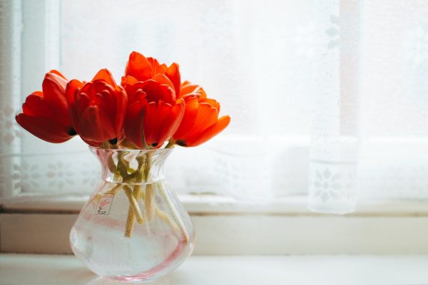 Expert Hacks for Prolonging Flower Vase Life