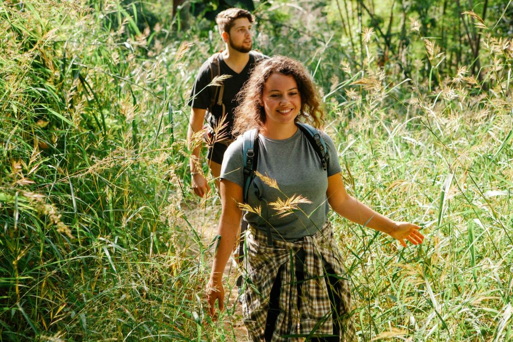 Eco-Friendly Travel: Exploring Sustainable and Green Destinations